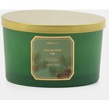 Sinsay Svijeća Sugar Pine Fir | shoptok.hr