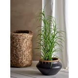 Bloomingville Umetna trava (višina 92 cm) Grass – | Shoptok.si