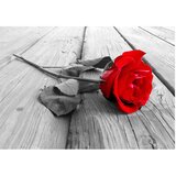  Samoljepljiva foto tapeta - Abandoned Rose 441x315 | shoptok.hr
