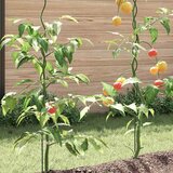  Podrška za biljke 5 pcs Zelena 150 x 0,6 x 0,6 cm Čelik | Eponuda.com