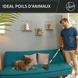  Usisavač Hoover HP321PAF 850 W Crna Siva | shoptok.hr