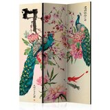 XXXL Paravan Peacock Love, 3-Delni, Enostranski | Shoptok.si