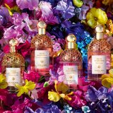 Guerlain Aqua Allegoria Florabloom toaletna voda polnilna za ženske 125 ml | Shoptok.si