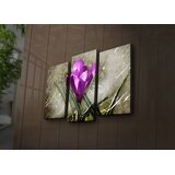 Wallity Set slika sa LED rasvjetom 3PATIACT-3, 3 dijela | Eponuda.ba