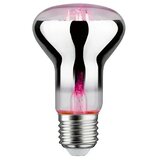 PAULMANN LED sijalka Grow Green (E27,6,5 W, R63, 200 lm) Cene