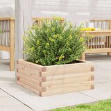  Vrtna sadilica 50 x 50 x 23 cm od masivne borovine | shoptok.hr