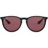 Ray-ban Erika Classic RB4171 601/5Q Polarized ONE SIZE (54) Črna/Vijolična | Shoptok.si