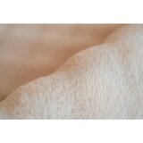 Novel PREPROGA Z VISOKIM FLOROM Hailey 200/290 cm taftano krem barve | Shoptok.si