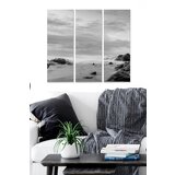 Wallity MDF1031262 multicolor decorative mdf painting (3 pieces) Cene
