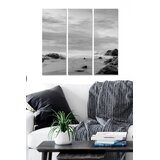 Wallity MDF1031262 Multicolor Decorative MDF Painting (3 Pieces) | Eponuda.ba