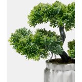 Sinsay Dekorativna biljka u saksiji – bonsai drvo | shoptok.hr