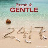 Old Spice Gentle Man's Coconut & Vanilla gel za tuširanje za muškarce 3 u 1 800 ml | shoptok.hr