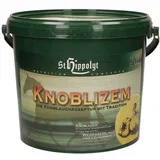 Knoblizem