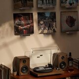 PHOENANCEE 12x stenska polica za vinilne plošče iz hrasta | Shoptok.si