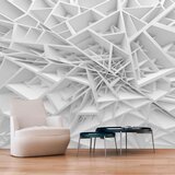  Samoljepljiva foto tapeta - White Spider's Web 441x315 | shoptok.hr