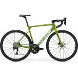 SCULTURA 6000 FALL GREEN cestovni bicikl (MY25) - S