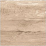 Ocean Gres ploščica Asia Wood (60 x 60 cm, rjava, posteklena, sijaj) Cene