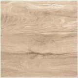 Gres ploščica Asia Wood (60 x 60 cm, rjava, posteklena, sijaj)