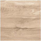 Ocean porculanska pločica Asia Wood (60 x 60 cm, Smeđe boje, Reflektira) Cijene