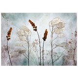  Tapeta - Lunaria in the Meadow 250x175 | shoptok.hr