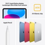 Apple iPad 10.9 (2024) WiFi 256 GB srebrna 27.7 cm (10.9 palac) A14 Bionic | Eponuda.ba
