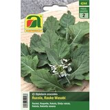  Rukola Wasabi | Shoptok.si