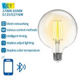 Aigostar led filament sijalica G125 E27/6W/230V 2700-6500K | Eponuda.com