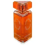 Aesthetic Turbulence 100 ml parfemska voda unisex