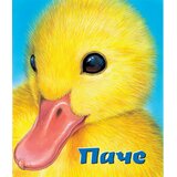 Vulkan Izdavaštvo Grupa autora
 - Pače | Eponuda.com