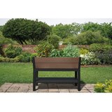 Keter Visoka greda Darwin – | Shoptok.si