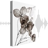  Slika - Transparent Clover (1 Part) Vertical 20x30 Akustična | shoptok.hr
