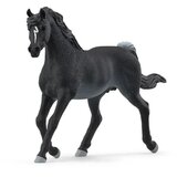  13981 Horse Club - žrebec arabskega konja | Shoptok.si