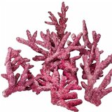 Prirodni Kamen Natural reef rock - Branch rock Cene