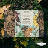Magic Garden Seeds Čudoviti svet zelišč – komplet za bio razmnoževanje semen