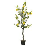  Umetna rastlina Limona (Višina: 120 cm, Poliester) u