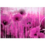  Tapeta - Pink madness 150x105 | shoptok.hr