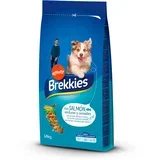 Dog losos - 14 kg