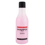Stapiz Basic Salon Fruit šampon za poškodovane lase za suhe lase za vse vrste las 1000 ml za ženske