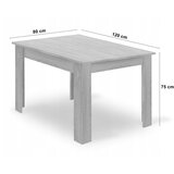  Stol Artisan noge crne boje 120x80 cm | shoptok.hr