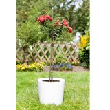 Lux Plastificirani stup D 11 mm/90 cm | shoptok.hr