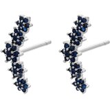  Naušnice FI-21705 - Srebrna / Plava KP21705 | shoptok.hr