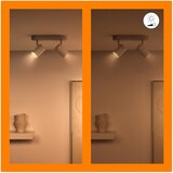 Wiz Reflektor GU10 5 W Imageo – | shoptok.hr