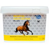  IROSTOL EQUINE SKIN FORTE peleti za konje Cene