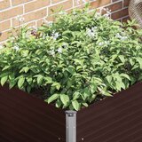  Povišena vrtna gredica smeđa 100 x 100 x 77 cm pocinčani čelik | shoptok.hr