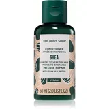 Shea Conditioner regenerator za suhu i lomljivu kosu 60 ml