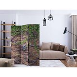  Paravan u 3 dijela - Wheel of Time [Room Dividers] 135x172 | shoptok.hr