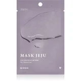Joyful Time Jeju Fix vlažilna tekstilna maska 23 g