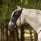 Busse Maska proti insektom RIDING, črna - Full Cene