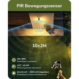 EDISHINE zunanja stenska svetilka s senzorjem gibanja IP44 | Shoptok.si