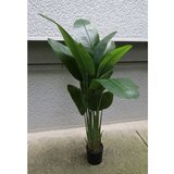 Lilium banana 1x3 sa 12 listova, 165 cm,567386 Cene
